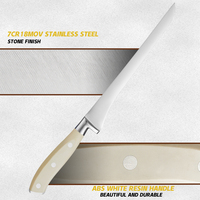 Couteau à filet de cuisine 8 ''Premium en acier inoxydable à haute teneur en carbone Couteau de chef à filet de cuisine moderne et tranchant Coupe de viande avec manche ABS