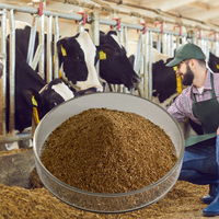 Suppléments de qualité alimentaire Produits d'engraissement et de gain de poids du bétail Vache Mouton Bovins Chèvre Stimulateur de croissance Protéines animales