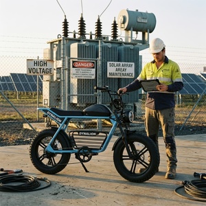 Moped Elétrico de Longo Alcance com <span class=keywords><strong>Motor</strong></span> Sem Escovas na Cor Branca, Pneus Largos de 20 Polegadas, Ciclo de Inspeção para Manutenção de Fazendas Solares - Product Image 2