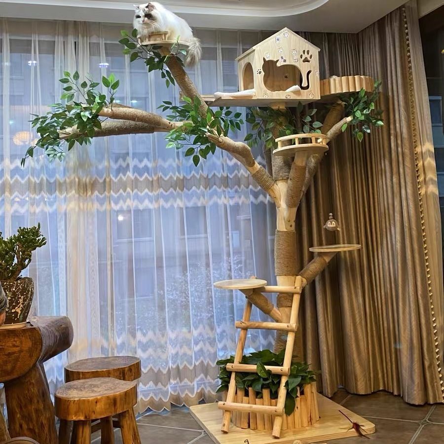 1.8m+ small house