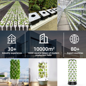 Dọc soilless trồng trọt trồng rau diếp hệ thống thủy canh trong nhà EBB dòng chảy dọc phát triển hệ thống hydroponics - Product Image 4