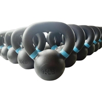 Kettlebell en fonte de musculation supérieure Bandes bleues de 15 livres Poignée texturée large Portable Plus de poids 5-100LB disponibles