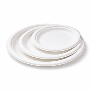 Piatto rotondo ecologico biodegradabile in bagassa (260 mm x H 19,6 mm) in polpa di canna da zucchero, usa e getta - Product Image 2