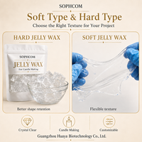 Cire en gel en vrac pour la fabrication de bougies, blocs de cire gel transparente brillante pour bougies Océan, bougies Fleurs et lignes de créations artisanales