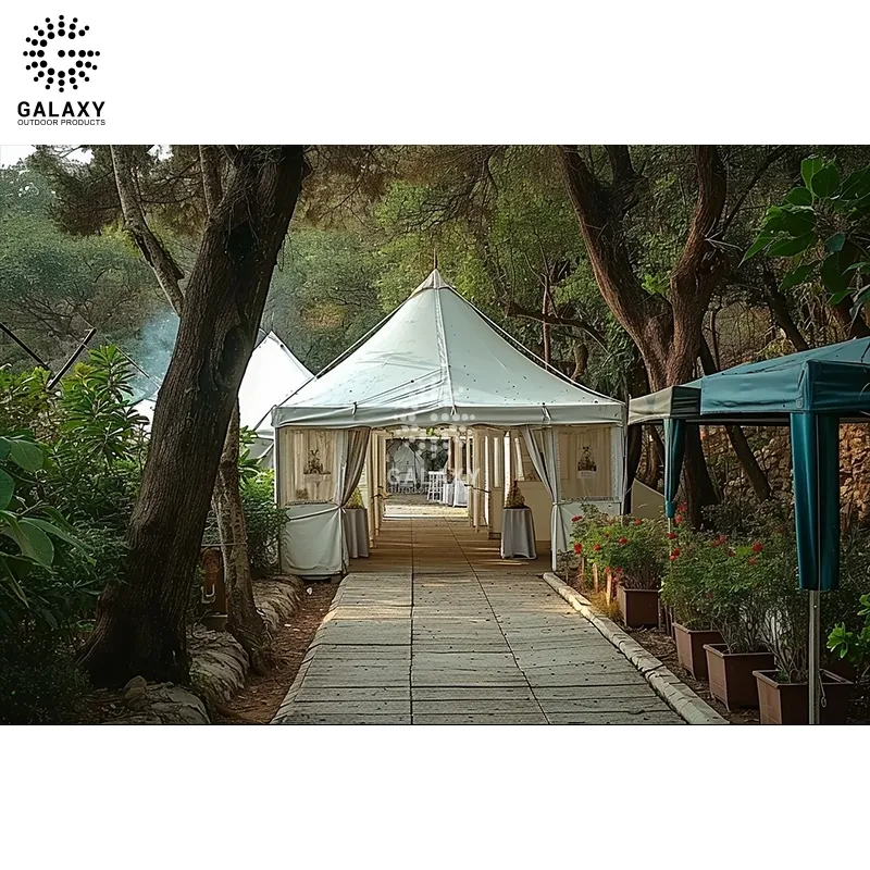 No need land luxurious camping 2 persons waterproof outdoor custom printed canopy tent 500 capacity