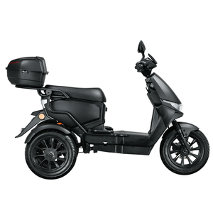 Scooter Eléctrico de Tres Ruedas de Aleación de Aluminio Euro5 EEC Coc, Motor sin Escobillas de 1000W, Batería de Litio, Control Remoto - Product Image 4