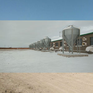 Silo de stockage galvanisé en promotion, capacité de 3 à 30 tonnes, pour l'élevage de poulets et le stockage de céréales - Product Image 5
