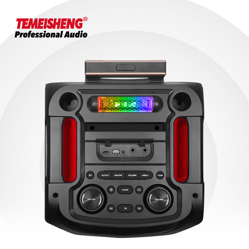 Temeisheng 12inch Trolley Subwoofer - Big Powered Sound Box