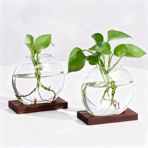 <span class=keywords><strong>Vaso</strong></span> <span class=keywords><strong>in</strong></span> <span class=keywords><strong>Vetro</strong></span> Trasparente Creativo Europeo Rotondo per Coltura Idroponica <span class=keywords><strong>di</strong></span> <span class=keywords><strong>Piante</strong></span> e Fiori per Soggiorno e Ufficio - Product Image 2