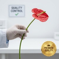 Fleurs d'Anthurium Artificielles Imprimées en 3D Effet Réel, Tiges en Silicone, Lot de Plantes Tropicales Artificielles pour Noël, Pâques, Mariages, Vases et Décoration Intérieure