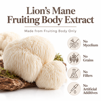 Capsules de champignon Crinière de lion sous marque privée, Hericium Erinaceus, Complément alimentaire quotidien à base de champignons, Fabricants OEM ODM