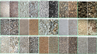 Trieuse optique de pierres Wenyao robuste pour minerais, pierres calcaires, quartz, feldspath et minerai – Trieuse de pierres
