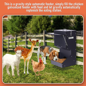 Jh-mch उच्च क्षमता 50lbs स्वचालित पालतू पशु फीडर पारदर्शी-दरवाजे कार्बन स्टील डॉग फीडर स्वचालित - Product Image 4