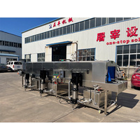 Laveuse industrielle de boîtes en plastique pour abattoirs de volailles Machine de nettoyage de cages à poulets Machine à laver les couvoir et les caisses
