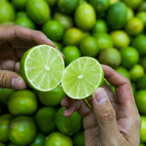 Meilleur prix Citrons verts frais sans pépins Taille 4,5-6 cm Paquet de 10 kg Durée de conservation de 5 mois Certifié HACCP ISO Origine Vietnam/Hazel - Product Image 1