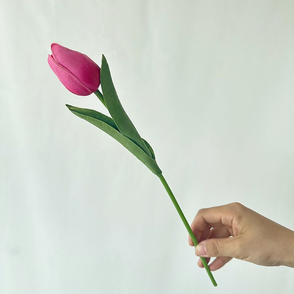 Mini tulipe simple PU 43
