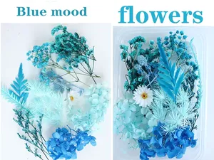 Kit <span class=keywords><strong>de</strong></span> Matériaux DIY pour Fleurs Éternelles <span class=keywords><strong>de</strong></span> Noël : Hortensia, Sargasse, Fleurs Séchées, Fleurs Flottantes Parfumées - Product Image 5