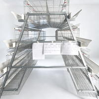 Équipement automatique en acier galvanisé pour poules pondeuses en batterie, cages pour poulets de ferme avicole, vente chaude