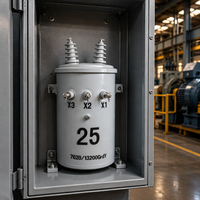 Transformateur de distribution monophasé immergé dans l'huile CHHP 100 KVA, autotransformateur toroïdal, montage sur poteau, modèle D9 34.5