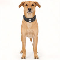 Collier GPS intelligent pour chien avec contrôle par application, suivi de localisation en temps réel, étanche, moniteur pour animaux de compagnie en extérieur