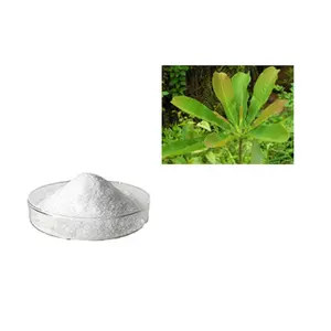 Herbal Extract Magnolia Bark Extract 98% Magnolol Honokiol Content HPLC 50%-98%