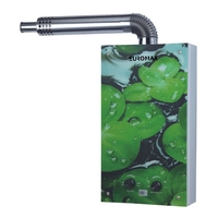 Chauffe-eau instantané au gaz GPL/GN sans réservoir, vente en gros d'usine, 12/14/16/18/20L, pour usage domestique