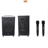 Haut-parleur actif professionnel PL-4412A/B 200W avec microphone sans fil, woofer sur chariot pour système audio domestique et extérieur