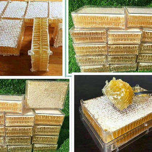 รวงผึ้งแท้ 100% จา<span class=keywords><strong>ก</strong></span>ธรรมชาติ คุณภาพสูง น้ำหนั<span class=keywords><strong>ก</strong></span> 500 <span class=keywords><strong>ก</strong></span>รัม บรรจุในกล่องใส - Product Image 6