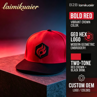 Casquettes Snapback Personnalisées avec Logo de Marque Brodé en 3D, Lettres Haute Définition, Blocs de Couleurs, Casquettes Snapback Personnalisées OEM ODM, Chapeaux Tendance