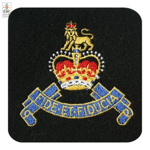 Parche de brazo de aire de flota OEM Parches de bordado de hierro para grupos, organizaciones y oficiales - Product Image 2