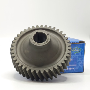 Engrenage hélicoïdal robuste R.060021A en acier haute résistance pour moteur de machines d'ingénierie, pompe à air R.060021A de haute qualité - Product Image 2