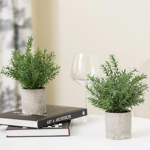 Bonsái pequeño nórdico en maceta Artificial Mini planta interior de plástico planta Artificial eucalipto decoración de plantas verdes para estantes - Product Image 1