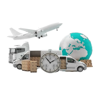 Service logistique professionnel DDP DDU Transport Cargo Fcl Mer Air Porte à Porte Transitaire Chine vers Vietnam Espagne