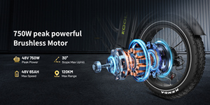 Bicicleta Eléctrica Plegable KOOLUX X8 con Marco de Hierro y Batería de Litio, Velocidad Máxima 25 km/h, Motor de 250 W en la Rueda Trasera, Neumático Grueso de 20 Pulgadas, 6 Velocidades - Product Image 6