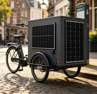 Panneau solaire photovoltaïque latéral pour tricycle électrique, caisse de chargement fermée, taille personnalisée, 12V 24V, livraison logistique, module 3 roues