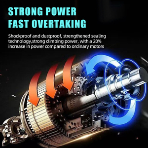 Motocicleta Eléctrica Ecológica ODM de 800W, 60V20A, Cero Emisiones, 50km de Autonomía, Batería de Litio, Transporte Ecológico - Product Image 6
