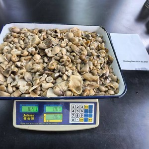 Chất Lượng Cao Cấp Đóng Hộp Rơm Nấm 425G Sẵn Sàng Để Ăn Hương Vị Tươi Rơm Nấm Trong Nước Muối - Product Image 6