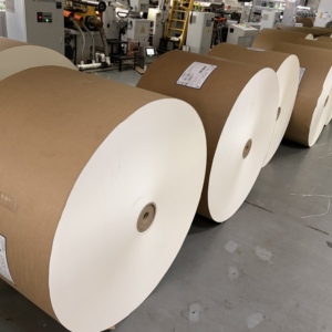 Rouleau de papier enduit de PE haute performance, imperméable et résistant à la graisse, pour bols à salade et gobelets en papier - Product Image 6