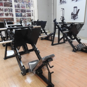 Pressa per gambe lineare HS Fitness caricata con piastra per gamba seduta - Product Image 2