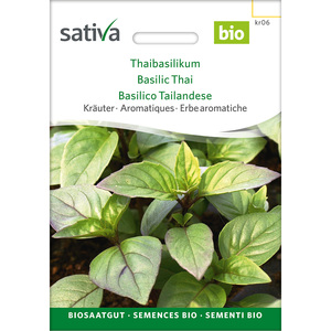 <span class=keywords><strong>Basilic</strong></span> thaï - Product Image 1
