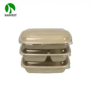 Toptan özel biyobozunur hamuru tek kullanımlık gıda ambalaj kutuları