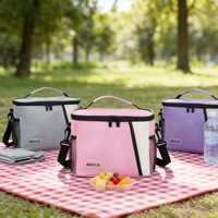 Sac isotherme de pique-nique de grande capacité, réutilisable, écologique, résistant à l'eau, minimaliste, tendance estivale, pour le stockage des aliments