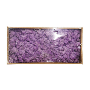 Suministros de decoración de césped artificial moss panel - Product Image 4
