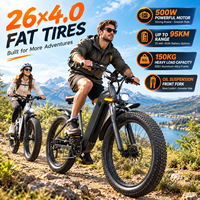 Vélo Électrique Fat Bike Personnalisable Chine, Moteur Brushless, Longue Autonomie 75 Miles, Batterie 48V 60V, Freins à Disque Doubles, Noir