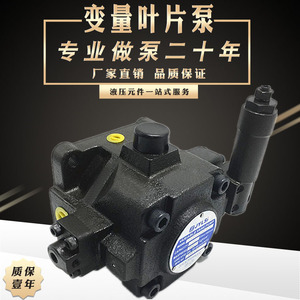 ปั๊มวาล์วแปรผัน Jylsi รุ่น HVPVC 50 Fa3 ปั๊มน้ำมันไฮดรอลิก 250 บาร์ 1 สเตจ โครงเหล็กหล่อ ขับเคลื่อนด้วยไฟฟ้าแนวนอน - Product Image 4