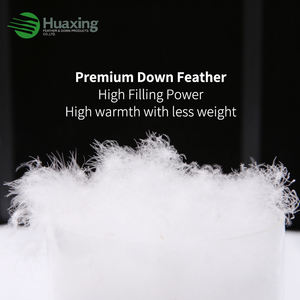 Edredón de plumón de ganso para todas las estaciones, edredón, tamaño <span class=keywords><strong>Queen</strong></span>, 100% algodón, cubierta a prueba de agua con pestañas de esquina - Product Image 2