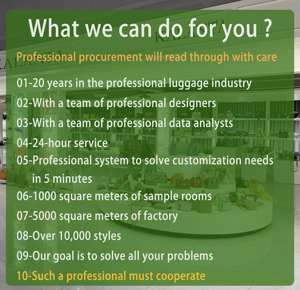 कलंत महिलाओं का बैग फीम थोक खुला सस्ता चीनी वर्ग मध्यम सैटेकल्स महिला क्रोकोडाइल लॉक - Product Image 6