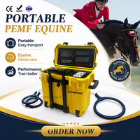 Appareil PEMF équin haute performance, appareil de thérapie équine portable avec plusieurs applicateurs, fabrication OEM ODM