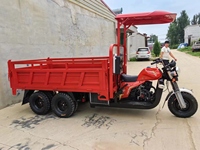 Tricycle de fret motorisé à 9 roues et 2 essieux 350CC, tricycle de fret à benne basculante à 9 roues et double essieu arrière 350CC
