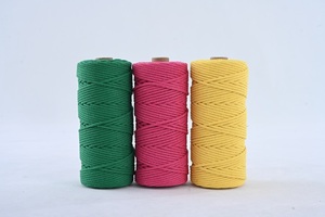 Nhà Máy Bán Buôn 3Mm 4Mm 5Mm 6Mm 16 Sợi Cấu Trúc Tùy Chỉnh Màu Sắc Bện Dây - Product Image 6